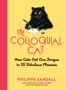 book cover for The Colloquial Cat
