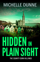 book cover for Hidden in Plain Sight