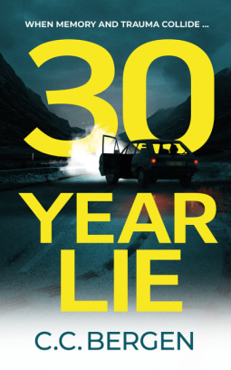 book cover for 30 Year Lie