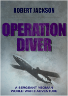 book cover for Operation Diver