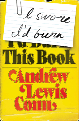 book cover for I Swore I'd Burn This Book