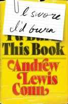 book cover for I Swore I'd Burn This Book