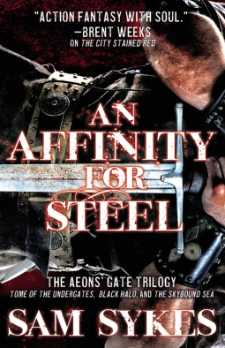 book cover for An Affinity for Steel