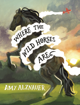 book cover for Where the Wild Horses Are