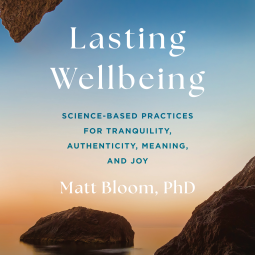 book cover for Lasting Wellbeing