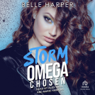 book cover for Storm