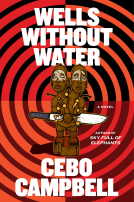 book cover for Wells Without Water