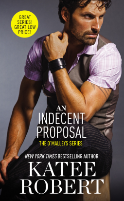 book cover for An Indecent Proposal