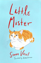 book cover for Little Mister