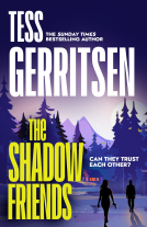 book cover for The Shadow Friends