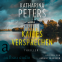 Buchcover für Kaltes Versprechen
