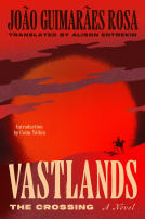 book cover for Vastlands: The Crossing