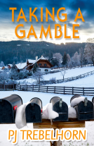 book cover for Taking a Gamble