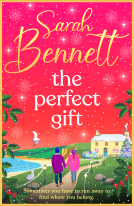 book cover for The Perfect Gift