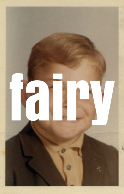book cover for Fairy