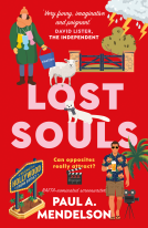book cover for Lost Souls