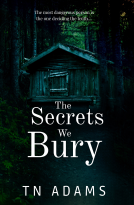 book cover for The Secrets We Bury