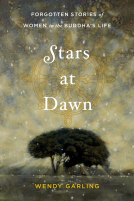 book cover for Stars at Dawn