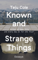 book cover for Known and Strange Things
