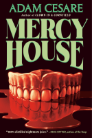 book cover for Mercy House