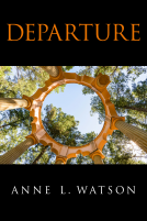 book cover for Departure