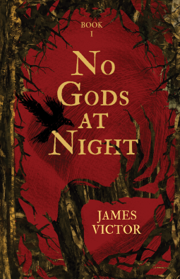 book cover for No Gods At Night