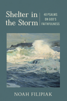 book cover for Shelter in the Storm