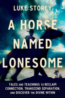 book cover for A Horse Named Lonesome