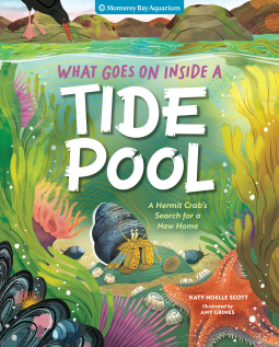 book cover for What Goes On Inside a Tide Pool