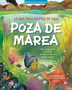 book cover for Lo que pasa dentro de una poza de marea