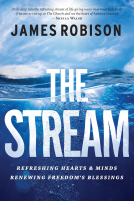 book cover for The Stream