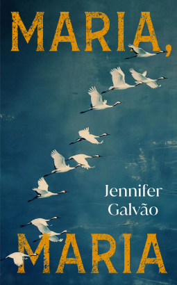 book cover for Maria, Maria