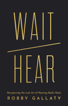 book cover for Wait / Hear