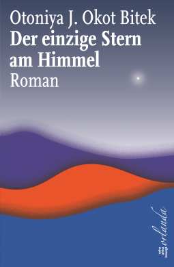 Buchcover für Der einzige Stern am Himmel