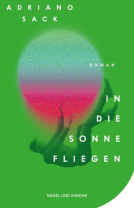 Buchcover für In die Sonne fliegen