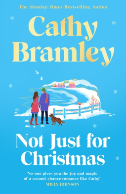 book cover for Not Just for Christmas