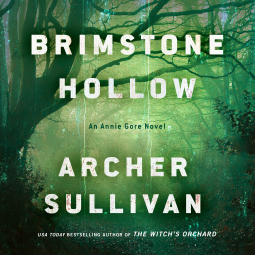 book cover for Brimstone Hollow