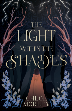 book cover for The Light Within the Shades