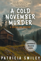 book cover for A Cold November Murder