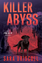 book cover for Killer Abyss