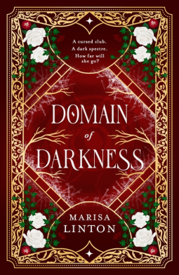book cover for Domain of Darkness