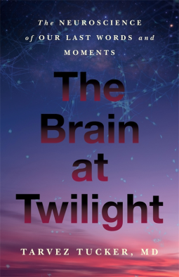 book cover for The Brain at Twilight
