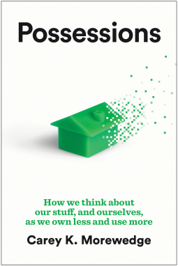 book cover for Possessions