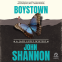 book cover for Boystown