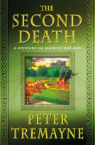 book cover for The Second Death