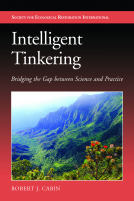 book cover for Intelligent Tinkering