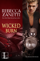 book cover for Wicked Burn