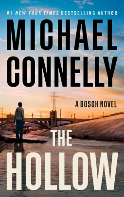 book cover for The Hollow
