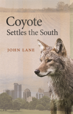 book cover for Coyote Settles the South