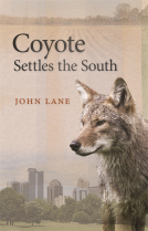 book cover for Coyote Settles the South